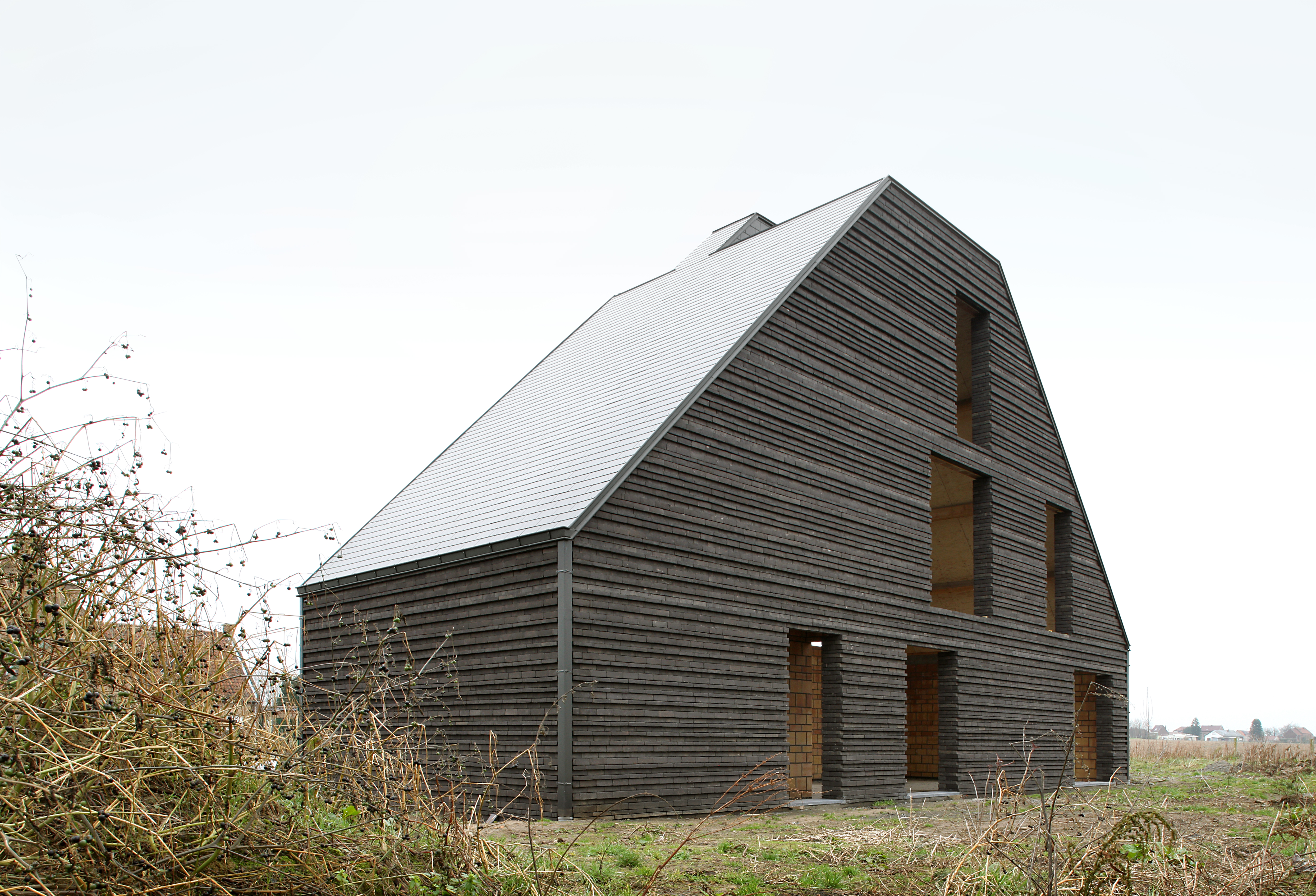 Budget-friendly housing with a strong element of decorative brickwork