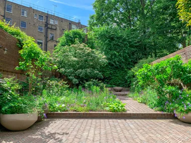 Burst of Changing Colour, Scent and Texture: Pelham Crescent, London