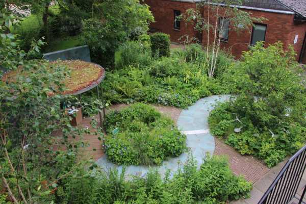 An oasis of recovery and resilience for Brookside clinic’s main entrance garden