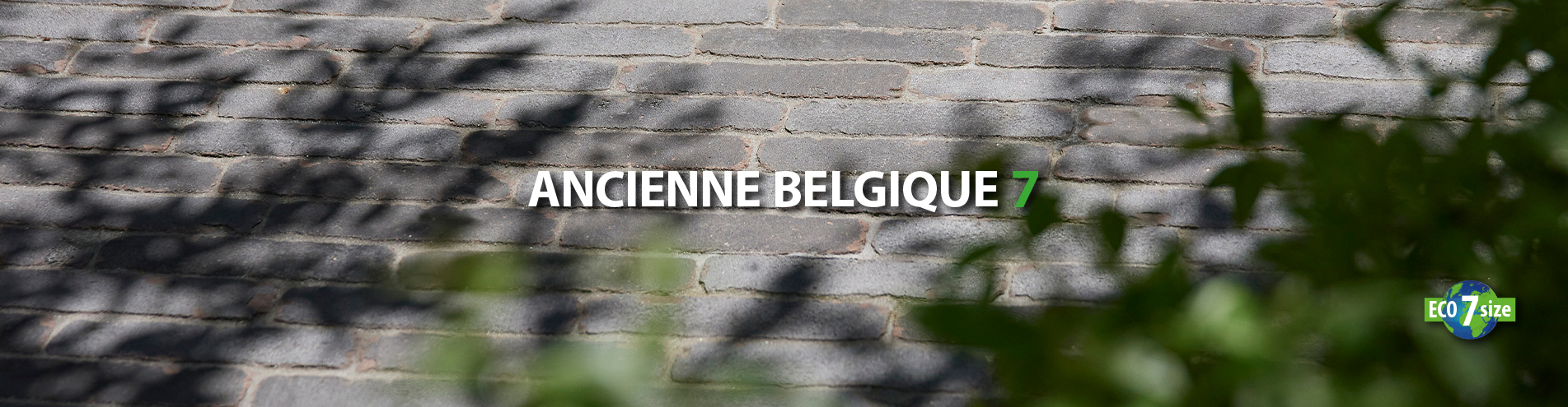 TRADITION IM MODERNEN GEWAND