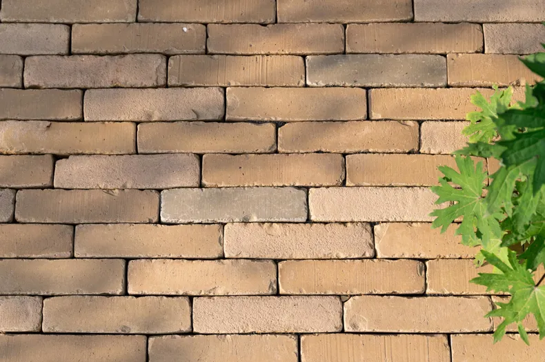 NEW: SeptimA Camargue: Yellow-Grey Mix with Green Accents.